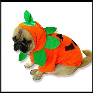 Pumpkin 🎃 pets costume ❤️